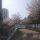 솔개공인중개사사무소 이미지