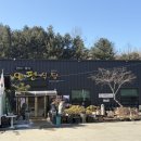 보은식당 | 충북 보은 속리산 근처 애견동반식당 이평식당 내돈내산 방문후기