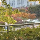 스윗케키