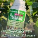 고농축 킬레이트 칼슘 대유그린칼마붕으로 작물 영양제 고민 끝낸 후기