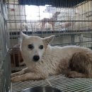 망경초등학교 이미지