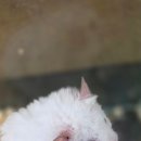 몬스타주 이미지