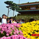 국화어린이공원 이미지