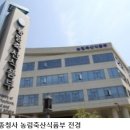 2024년 케이-푸드 플러스(K-Food+) 수출액 130억달러 돌파