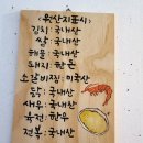 까멜리아 이미지