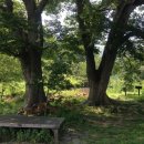 사당역 홈플러스 앞 이미지