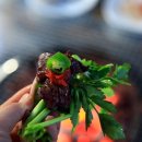 정감농장 이미지