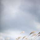 태흥목장 이미지