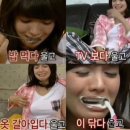 부평모모동물병원