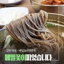 메밀꽃이피었습니다 | 고명환 막국수 메밀꽃이피었습니다 일산 본점 내돈내먹 후기