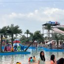 한마음매점 | 당진 아마존 아쿠아파크 준비물 카바나 매점 솔직후기