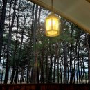 동호사우나 | 양양 펜션 추천 동호해변 앞 트리플펜션&amp;글램핑 글램핑 숙소 후기 (히노끼탕 자쿠지, 불멍, 무료조식)