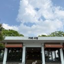 [주말 데이트] [요가나날] 주말일상, 조아저씨, 유관순 열사 유적지, 유관순 열사 기념관, 유관순 열사...