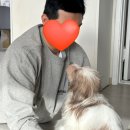 평남농장 | 유기견 입양 절차 서류 심사 후기 새식구 맞이 동물구조 119 보호소