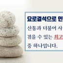 손앤오 의원 이미지