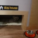 바우와우 하우스 이미지