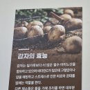강화덕진정육 | 전주 옹심이 맛집 옹기종기감자옹심이 메뉴 & 주차 정보