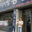 아이비 이미지