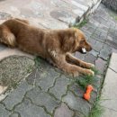 (주)잼잼 이미지