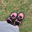 진전면100 | 창원 마산 진전면 카페 자연 속 힐링공간 논뷰가득 '오서296' 내돈내산, 애견동반가능⭕