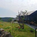 무등산 카이로스 | 애월 브런치 카페 카이로스 솔직 후기 - 다신 안 갈 집