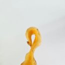 엔세븐(N7) 이미지