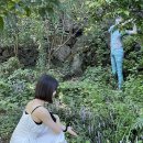 새보람약국 | [제주] 2박 3일 친구들과 제주 여행 | 금오름 | 김만복| 올래국수 | 방림원 | 호텔샌드 | 책방이다