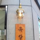 유칼리식물상점