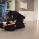 대청주짓수