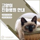 아이편한동물의료센터 네이버블로그