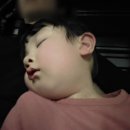 소쿠리농장 | 헤븐 온 어스 딸기체험농장 동물 먹이주기 체험 에어 바운서 주말 아기랑 나들이