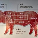 생활고기
