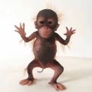 다모아푸드 | 모아모아 죄다모아