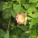 내 삶의 터전. 3.. 이미지