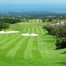 그린필드 이미지