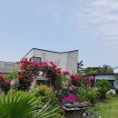 드림 팬션 이미지