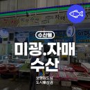 싱싱0202 이미지