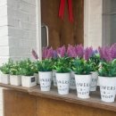 섬섬옥서 군산펜션 이미지