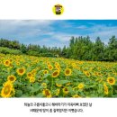 해피케어 이미지