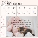 유어캣 고양이병원 이미지