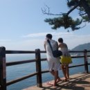 장승포항(지심도 도선) 이미지