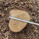 은평-018 이미지