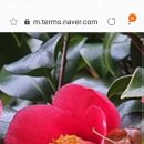 공항낙지마을 이미지