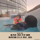 (주)이랜드파크 한국콘도 도고 | 19개월 아기랑 겨울 온천여행 : 천안아산 파라다이스도고 정보, 준비물, 숙소, 맛집 +더위트도고 리조트