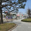 종합운동장(호암체육관) C 게이트 | 수원종합운동장 실내체육관 C1좌석 시야, 직관 후기(여자배구 챔피언결정전 현대건설 vs 흥국생명)