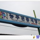능주전통시장 공중화장실 | (궁중잔혹사 꽃들의 전쟁) 인조의 어머니 인헌왕후의 고향인 화순 목사골 능주 전통시장 개선하라!!