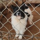 칠복농장 이미지