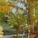 평촌나무동물병원 이미지