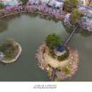 영산 만년교 이미지