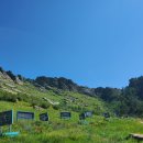 멍근멍근 이미지